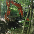 Navigating Tree Excavation in Rocky Soil: Challenges and Solutions