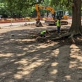 Understanding the Risks Involved in Tree Excavation