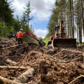 Understanding the Role of Heavy Machinery in Tree Excavation