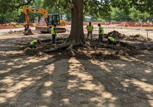 Understanding the Importance of Tree Excavation