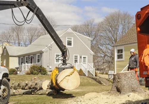 Essential Strategies to Safeguard Underground Utilities During Tree Excavation