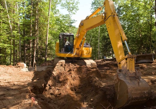 Understanding the Ecological Consequences of Tree Excavation