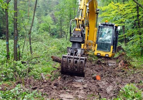 Identifying When Tree Removal is Necessary Over Excavation