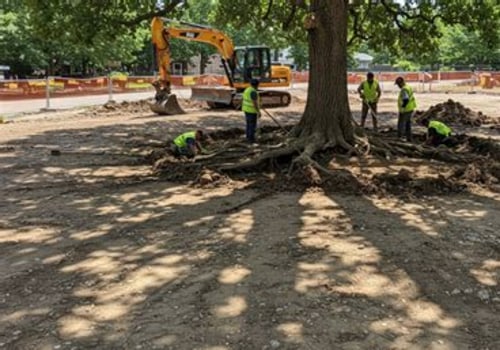 Understanding Tree Excavation: Do You Need a Permit?