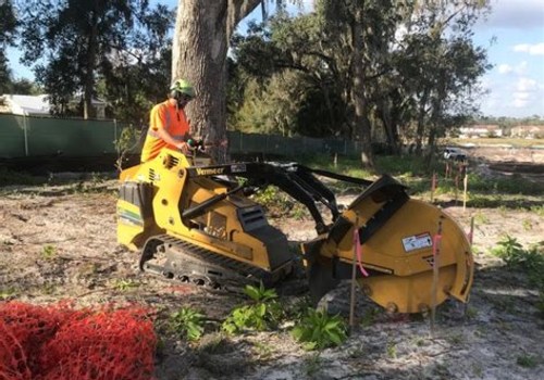 Understanding the Role of Root Pruning in Tree Excavation