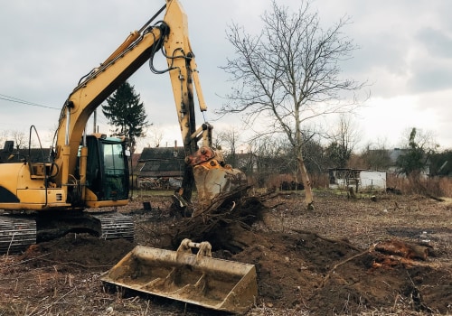 Understanding the Benefits of Tree Excavation for Your Landscape