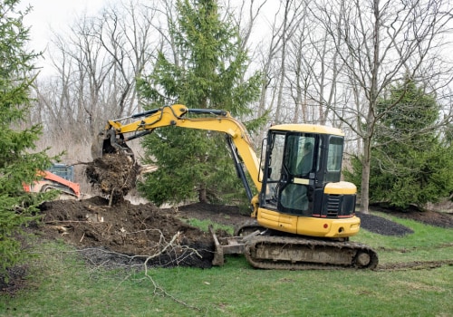 Choosing the Right Season for Tree Excavation: A Seasonal Guide